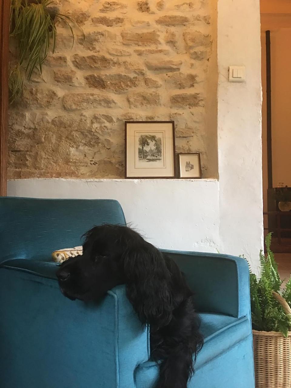 La Bergerie Pradel Acomodação com café da manhã Le Beaucet Exterior foto